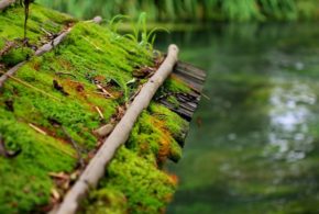 昭和の日常を語るひあづま屋かみのやま温泉旅館
